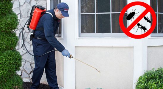 Dikili Bit İlaçlama böcek ilaçlama ve haşere kontrolü — ilaclama-tr.com